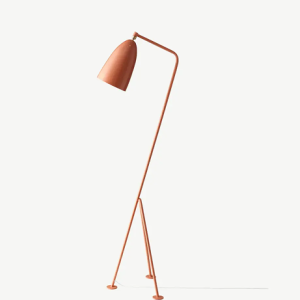 Miruna Floor Lamp